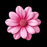 Category Подарки — fresh products