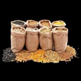 Category Бакалея — fresh products