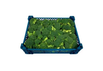 Брокколи Китай (ящик) 8 кг