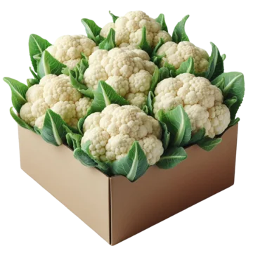 Капуста Цветная Иран (ящик) 10 кг