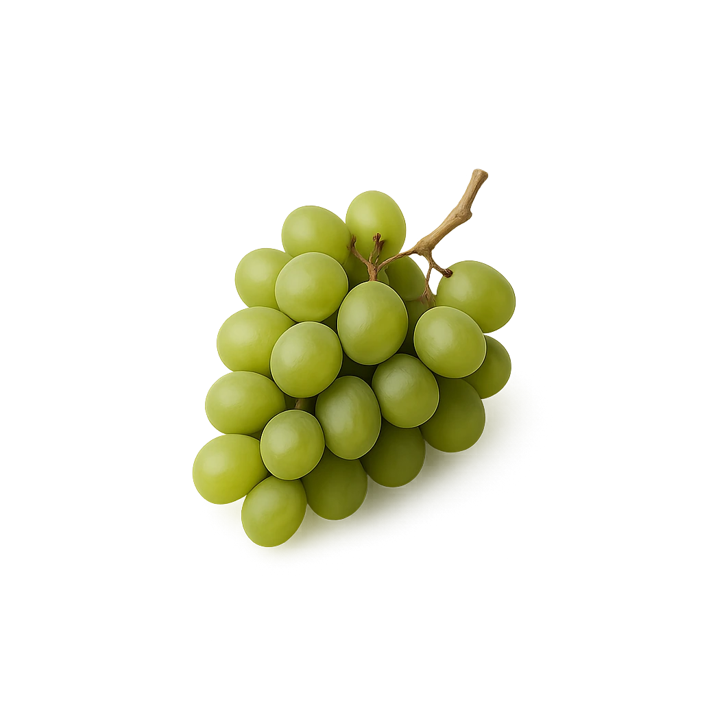 Долма из Виноградных Листьев (полуфабрикат)