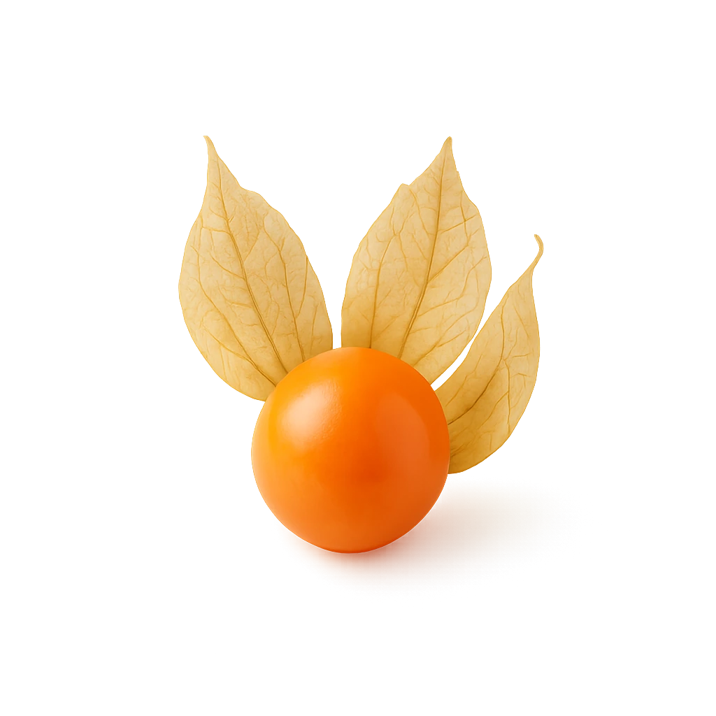 Физалис