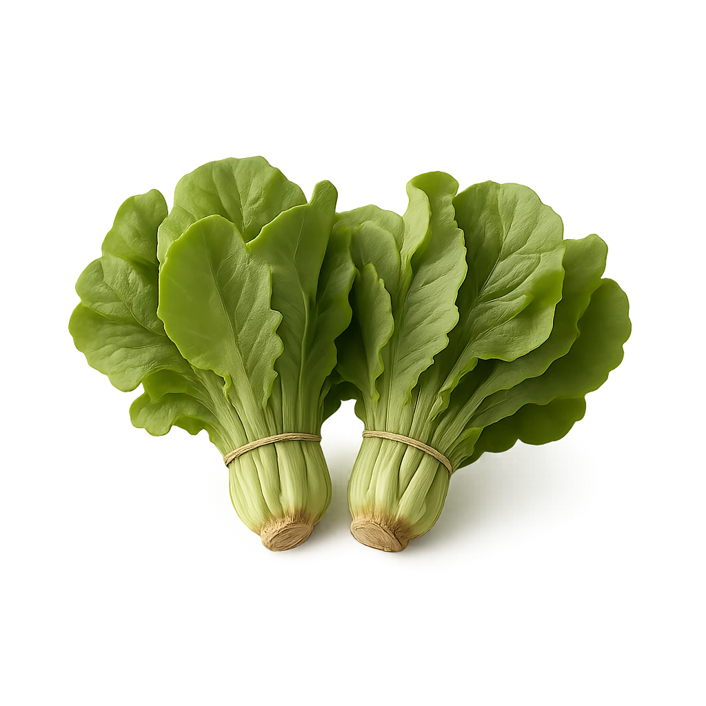 Салат Латук Македония