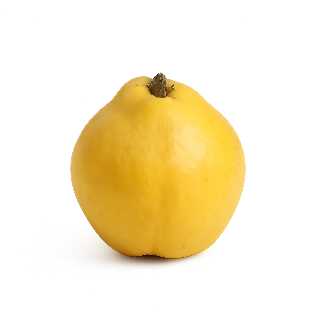 Айва Турция