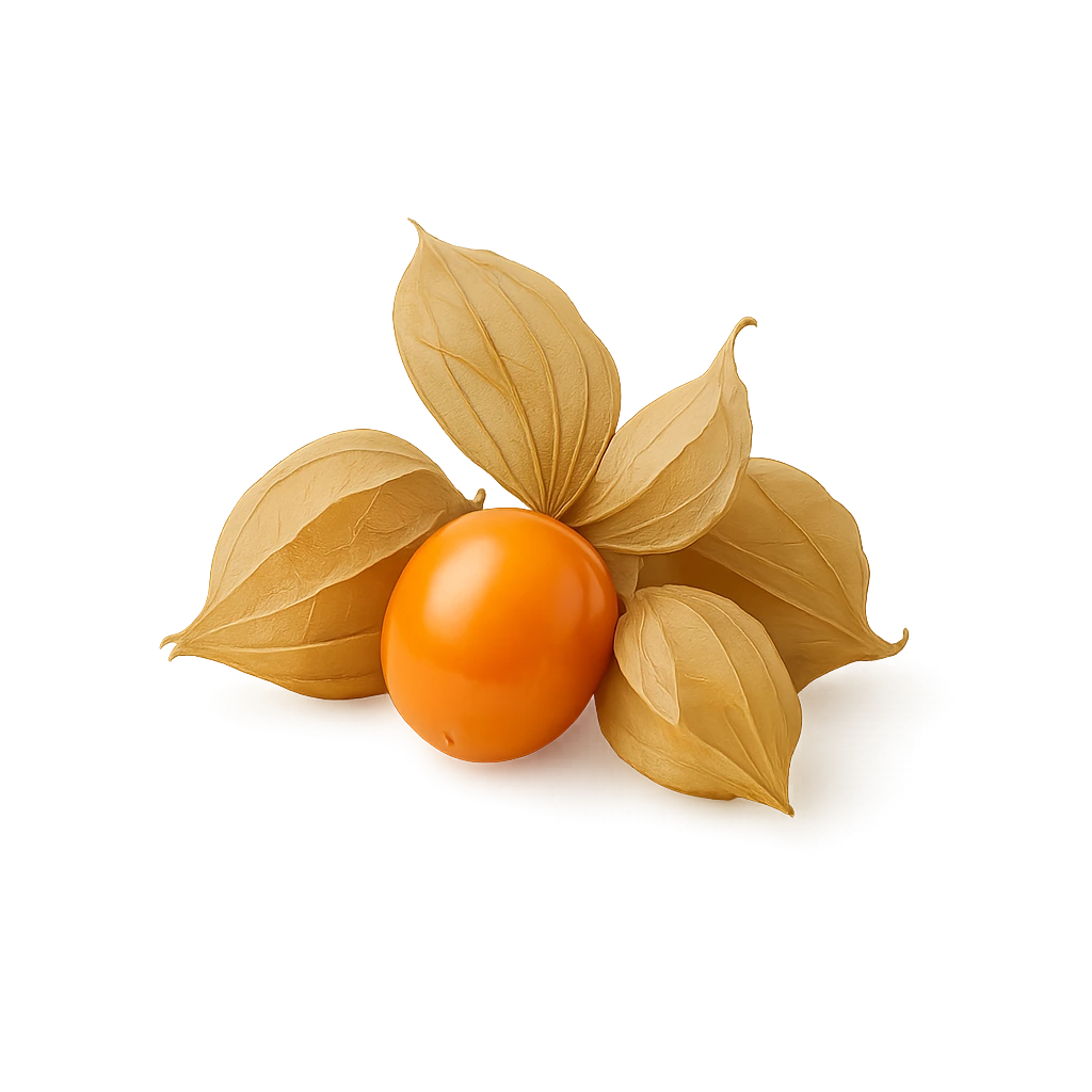 Физалис (100г) Мексика