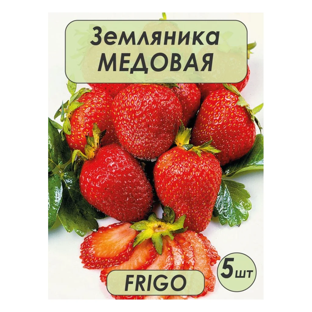 Земляника натур. кор.10кг Армения — фото 1