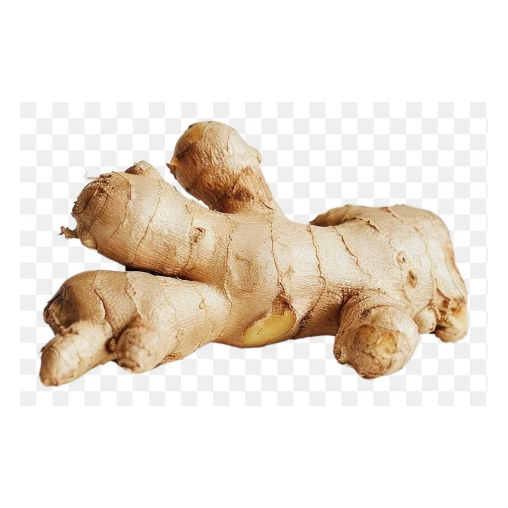 корень Имбирь
