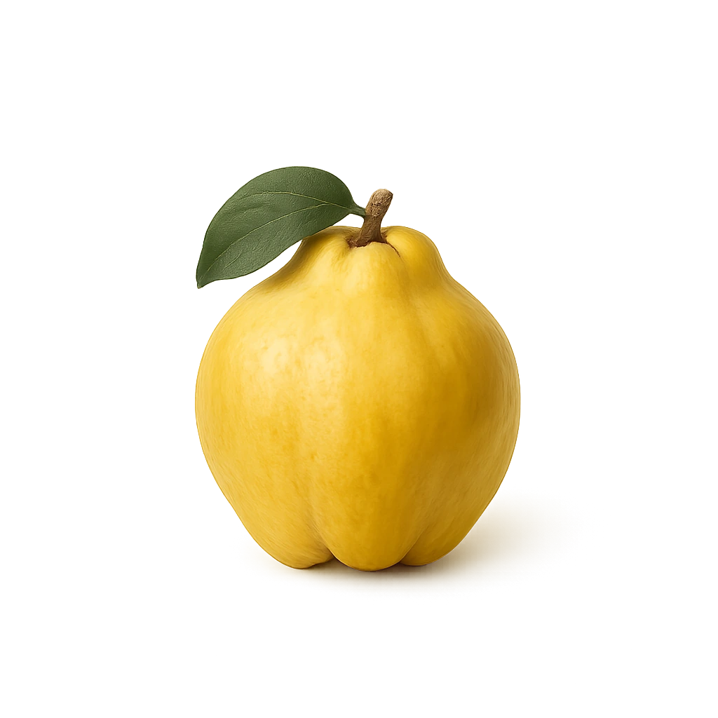 Айва